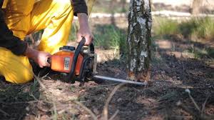 Best Lawn Irrigation Installation and Maintenance  in Prestbury, IL