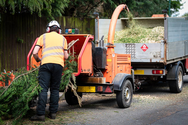 Best Tree Preservation Services  in Prestbury, IL