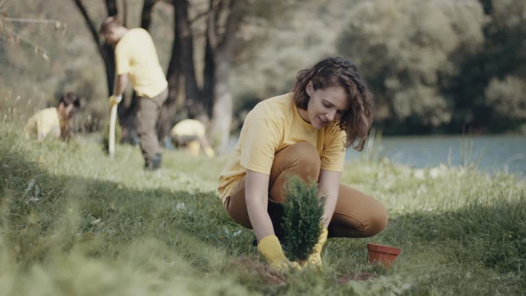 Best Stump Grinding and Removal  in Prestbury, IL