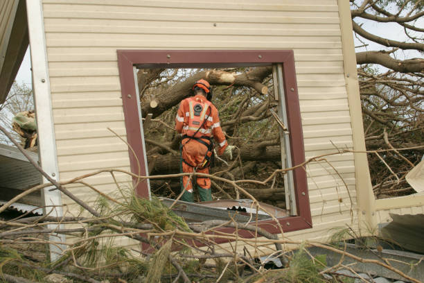 Trusted Prestbury, IL Tree Services Experts