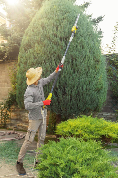 Lawn Pest Prevention in Prestbury, IL